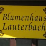 blumenhaus lauterbach